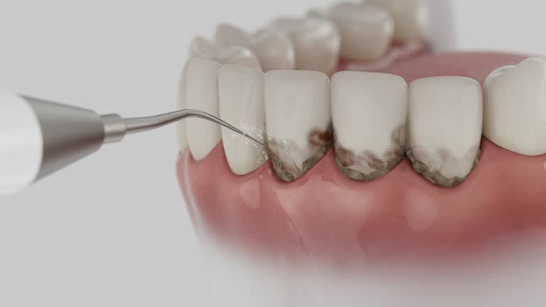 Reliable Dental contractor in Glen Dale, WV by Dentist Open Now
